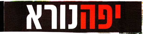 כותרת הספר: יפה נורא