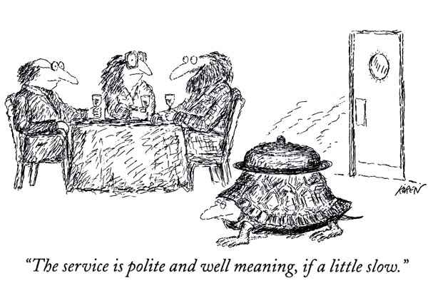 אדוארד קורן, קריקטורה, ניו יורקר