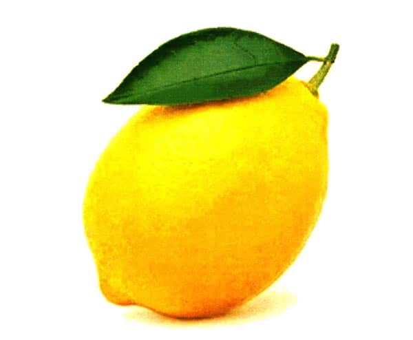 לימון. צילום