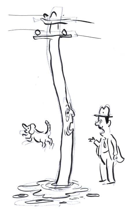 איש משוחח עם עמוד חשמל לאחר שכלב השתין עליו וברח. איור: דני קרמן