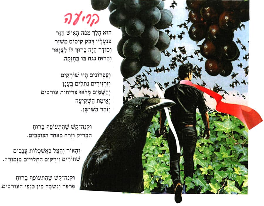 קריעה מאת דליה רביקוביץ הוּא הָלַךְ מִכֹּה הָאִישׁ הַזֶּר בִּנְעָלָיו דָּבַק קִיסוֹס מָשְׁזָר וְסוּדָר הָיָה בָּרוּךְ לוֹ לְצַוָּאר וְהָרוּחַ נָגַח בּוֹ בְּחָזְקָה. וְעֶפְרוֹנִים הָיוּ שׁוֹרְקִים וְזַרְזִירִים נִתְלִים בֶּעָנָן וְהַשָּׁמַיִם מָלְאוּ צְרִיחוֹת עוֹרבים וְאֵימַת הַשְׁקִיעָה וְזֹהַר הַשׁוֹשָׁן. וּקְנֵה קַשׁ שֶׁהִתְעוֹפֵף בָּרוּחַ הִבְרִיק וְזָרַח כְּאַחַד הַכּוֹכָבִים. וְהָאוֹר וְהַצֵל כְּאֵשְׁכְּלוֹת עֲנָבִים שְׁחוֹרִים וִירְקִים הַתְּלוּיִים בִּזְמוֹרָה. וּקְנָה קַשׁ שֶׁהִתְעוֹפֵף בָּרוּחַ פַּרְפַּר וְנִשְׁבָּה בֵּין כַּנְפִי הָעוֹרְבִים. איור: דני קרמן