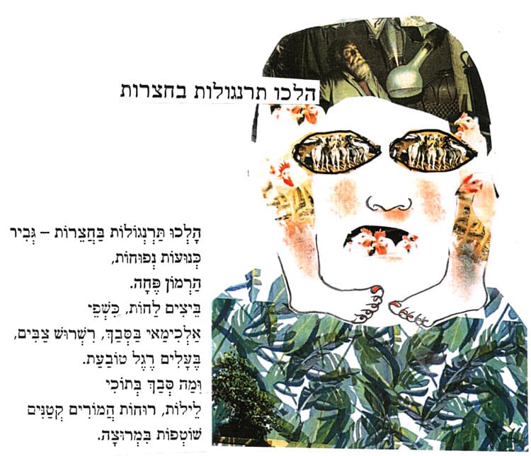 הלכו תרנגולות בחצרות מאת: נורית זרחי הָלְכוּ תַּרְנְגוֹלוֹת בַּחֲצֵרוֹת – גְּבִיר כְּנוּעוֹת נְפוּחוֹת, הַרְמוֹן פֶּחָה. בֵּיצִים לַחוֹת, כִּשְׁפִי אַלְכִימַאי בַּסְבַךְ, רִשְׁרוּשׁ צַבִּים, בֶּעָלִים רֶגֶל טוֹבַעַת. וּמַה כְּבַךְ בְּתוֹכִי לֵילוֹת, רוּחוֹת הֲמוֹרִים קְטַנִים שׁוֹטְפוֹת בִּמְרוּצָה. איורי: דני קרמן