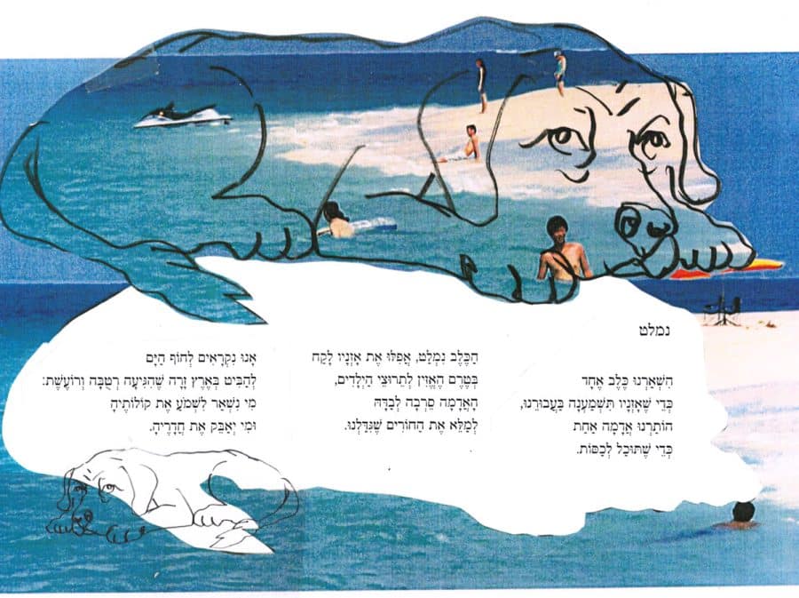 נמלט מאת מירון איזקסון הִשְׁאַרְנוּ כֶּלֶב אֶחָד כְּדֵי שֶׁאָזְנָיו תִּשְׁמַעְנָה בַּעֲבוּרֵנוּ, הוֹתַרְנוּ אֲדָמָה אַחַת כְּדֵי שֶׁתּוּכַל לְכַפּוֹת. הַכֶּלֶב נִמְלַט, אֲפִלּוּ אֶת אָזְנָיו לָקַח בְּטֶרֶם הֶאֱזִין לְחֵרוּצֵי הַיְלָדִים, הָאֲדָמָה סֵרְבָה לְבַדָּהּ לְמַלֵּא אֶת הַחוֹרִים שֶׁגִּדַּלְנוּ. אָנוּ נִקְרָאִים לְחוֹף הַיָּם לְהַבִּיט בְּאֶרֶץ זָרָה שֶׁהִגִּיעָה רְטִבָּה וְרוֹעֶשֶׁת: מִי נִשְׁאַר לִשְׁמֹעַ אֶת קוֹלוֹתֶיהָ וּמִי יְאַבֵּק אֶת חֲדָרֶיהָ. איור: דני קרמן
