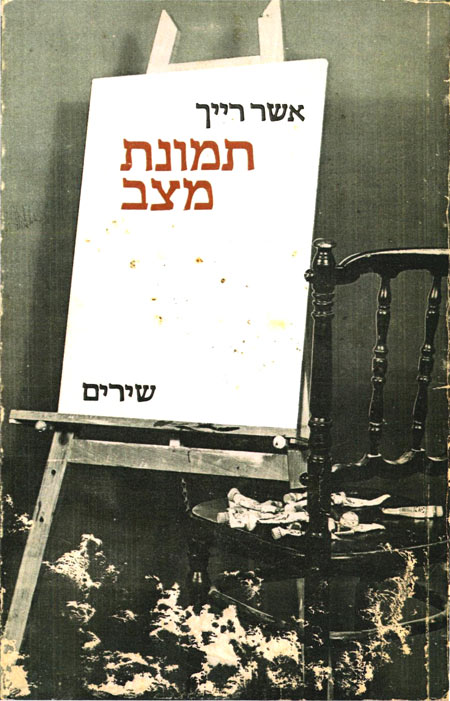 עטיפת הספר תמונת מצב מאת אשר רייך